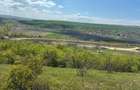 PF. Vand teren in Luna de jos 4,5 hectare,cu C.F - 4