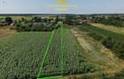Teren 2.700 mp Ciocanesti - Urziceanca | La asfalt - 7