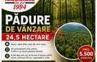 NOU ! Padure in S=24,5 ha de in Parscoveni, ideala INVESTIT - 2
