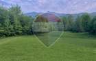 Teren intravilan MARA-doua hectare
