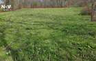 Vand Teren Intravilan in localitatea Slanic, judetul Prahova