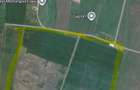 Persoana fizica vand 190.000 mp, cu 6 /mp, situati in Letcani, langa Parcul AgroIndustrial si Service de Camioane GTM TRUCKS & CARS