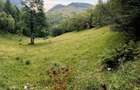 Teren investitie 8635 mp extravilan , Pestera Brasov - 3