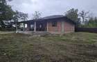 Casa de vanzare - Trifesti, Neamt - 8