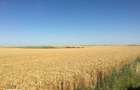 Vand 103 ha teren agricol compact - 3