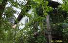 Vand casa in Bala de Jos - 5