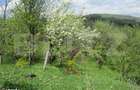 Teren de vanzare, 884 mp, zona Runcu - 1