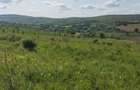 Teren intravilan 2.673 mp | Feiurdeni, Chinteni