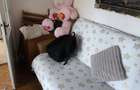 Inchiriez apartament 2 camere onesti 1200 lei - 4