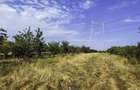Parcele Teren extravilan Livada si Pasune Lunca Corbului Arges - 9