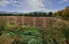 Teren intravilan de 18927 mp, Hala P+1 250 mp, Ocna Mures - 2