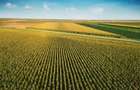 Teren agricol [5.91 ha] de vanzare langa Simand - 1
