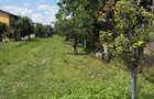 Teren de 3899 mp, în Filipeștii de Pădure - 5