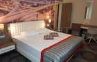 Penthouse zona Mihai VIteazu - Sibiu (Sibiu) - 10