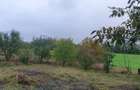 Casa, grajd, gradina plus dependinte - 2