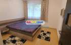 Drumul Taberei Romancierilor apartament 2 camere de inchiriat - 7