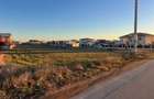TEREN Selgros Malu Mare - 4