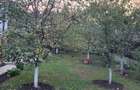Oferta!Vand casa in zona de munte,Corbsori ,jud Arges,tot confortul - 8