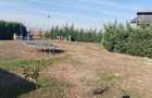 Magurele/Cartierul Pomilor Proprietate unică – 2 Corpuri de clădire moderne