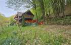Casa de vacanta la padure | Teren 891 mp | Valea Ighielului - 7