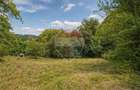 CASA CU GRADINA DE 1.498 MP | 3 FRONTURI STRADALE | SCHEII BRASOVULUI - 14