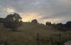 Teren 14.000 mp | 51 m deschidere la asfalt | Lupesti - Bumbesti-Pitic | Novaci | Gorj - 5