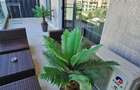 Proprietar inchiriez apart cu 2 camere in Mamaia Nord/Navodari - 3
