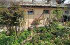 CASA 3 CAMERE SI CURTE - GIULESTI STRADA ARTARULUI - TEREN 296 MP - 4