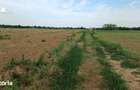 Teren intravilan de vanzare | Peris | 10.000 mp | Investitie sigura - 6
