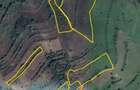 Casa + 7,65 hectare teren + sura CUCUTA, ALBA 89.000 NEGOCIABIL - 8