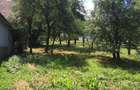 Casă cu Teren 6500 Mp în Dretea - 1