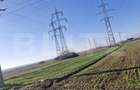 Teren extravilan 5.000 mp | Deschidere 15,79 m | Acces DN7 | Utilitati - 1