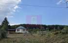 Teren intravilan de vanzare 3500 mp in Valea Doftanei - 4