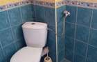 De inchiriat apartament cu o camera in zona Bogdanestilor - 1