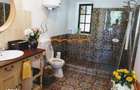 Conac - Casa Memoriala George Stephanescu - 1