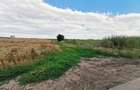Teren intravilan de vanzare - 1200mp - DN4 Bucuresti -Oltenita - 3