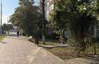 Spatiu comercial in Podu Ros,la Bulevard