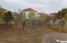 Vanzare Casa / Vila 5 camere Saftica Primarie - 6