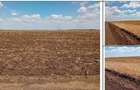 Cota de 1/2 teren extravilan Loc. Racovita, jud. Timis R3308145 - 4