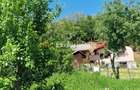 Proprietate in Comuna Bote?ti, Jude?ul Arge? Zon?... - 16