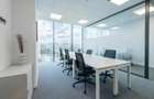 Spa?iu de birou privat pentru 1 persoana in Regus Iulius Business Centre - 3