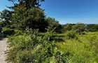 Teren doua loturi 3100/14 mp. - 2800/12 mp. Daesti - Valcea - 4