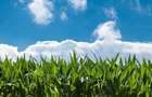 Teren arabil 5 hectare in Albesti-Smeeni, Buzau - 1