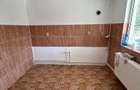Vila - Lunca Cetatuii - 6
