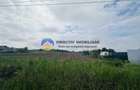 Teren- Com. Stefan cel Mare- jud. Neamt - 1