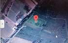 Via Transilvanica teren 3x500m2,pret 2890 euro/bucata - 1