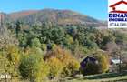 3600 mp teren intravilan, sat Bistrita, 14 Euro/mp