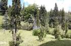 Casa de vacanta in Piatra Fantanele + 4,5 arii teren - 14