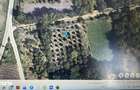 Teren intravilan 1.400 mp Livada de pruni, Cuza Voda (Calara?i) - 1