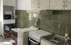 Apartament cu 1 camera+ living,Baile Herculane - 16